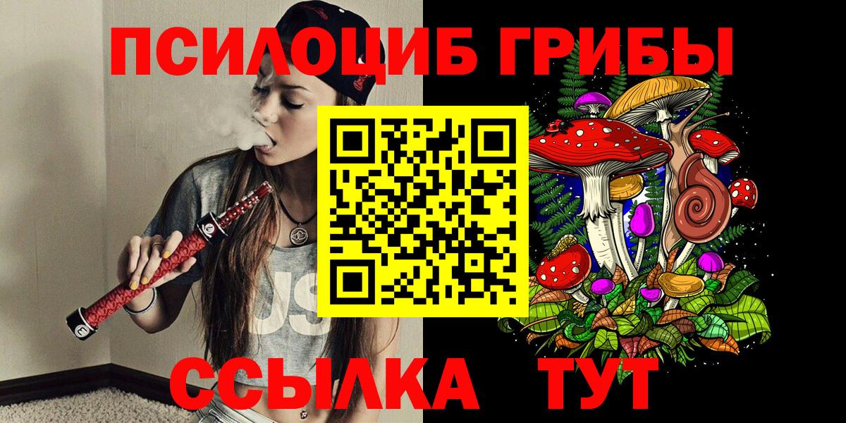 Псилоцибиновые грибы Cubensis  Галлюциногенные грибы мицелий  Сызрань  Вход с VPN 