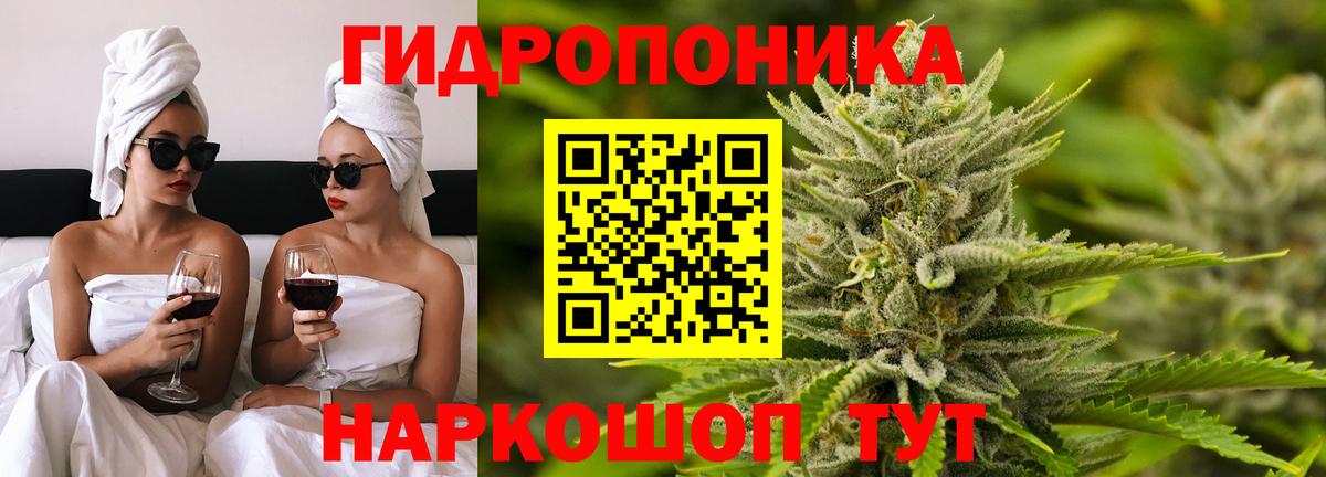 Шишки марихуана семена Сызрань
